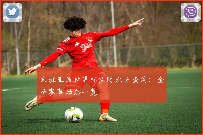 文班亚马世界杯实时比分查询:全面赛事动态一览