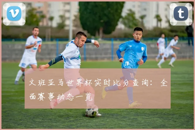 文班亚马世界杯实时比分查询：全面赛事动态一览